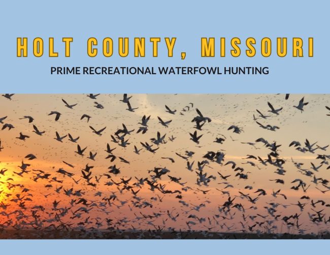 Prime Waterfowl Country!