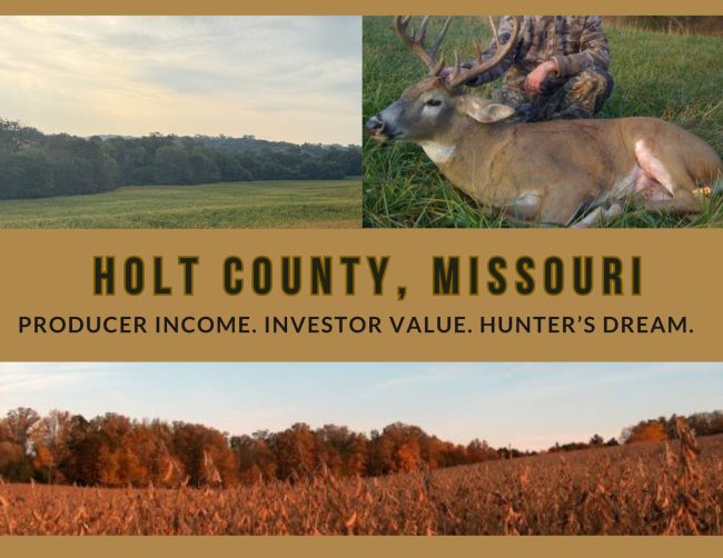 37.5 acres Holt County : Tillable & Hunting