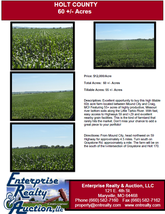 Updated summer pics brochure- holt 60 as of july 2026 screenshot