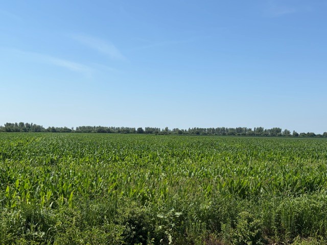 pic 26
