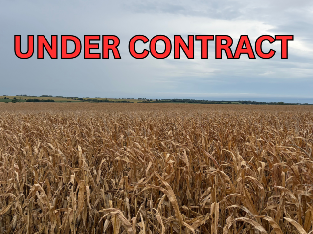 Nodaway County 90 +/- Acres