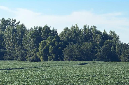 Screenshot 2026-10-06 145808